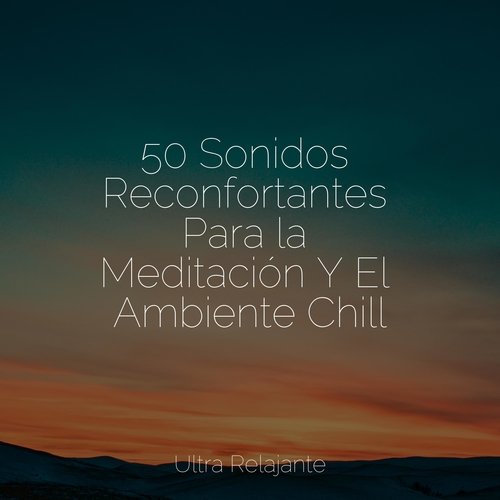 50 Sonidos Reconfortantes Para la Meditación Y El Ambiente Chill