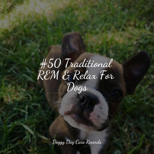 #50 Traditional REM & Relax For Dogs_poster_image