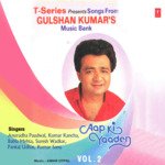 Ye Do Dil Hai Chanchal artwork