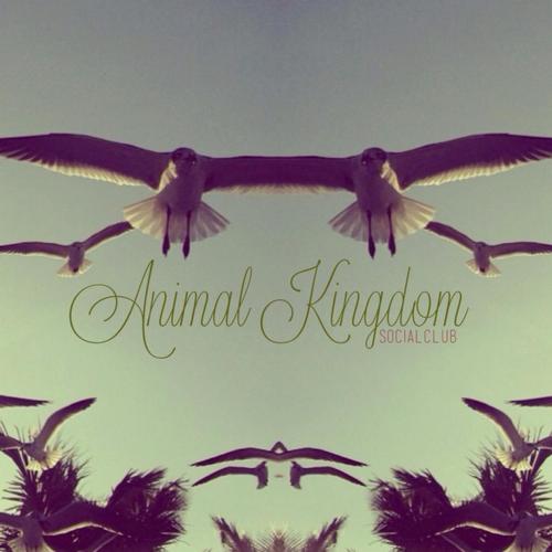 Animal Kingdom Songs, Download Animal Kingdom Movie Songs For Free Online  at 