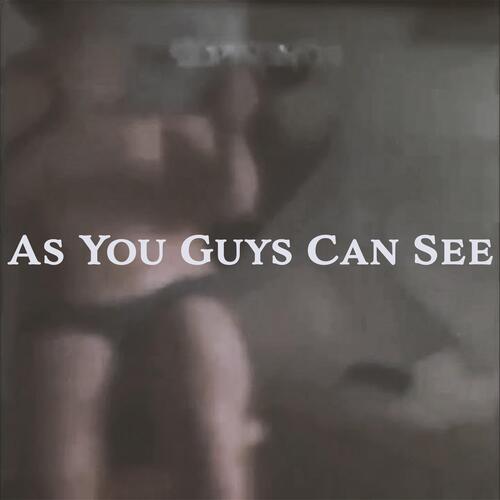 As You Guys Can See cover art