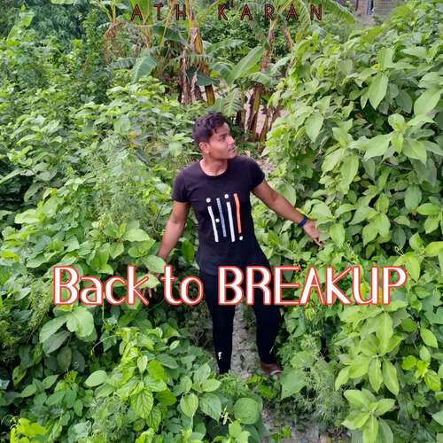 Back To Breakup