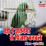 Bara Re Jatanma Se Pinjara Banawale