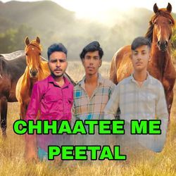 CHHAATEE ME PEETAL-BiAMeCxWf0Q