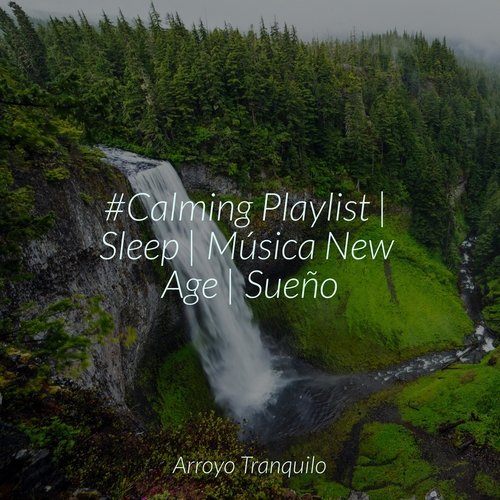 Relajación Consciente cover art
