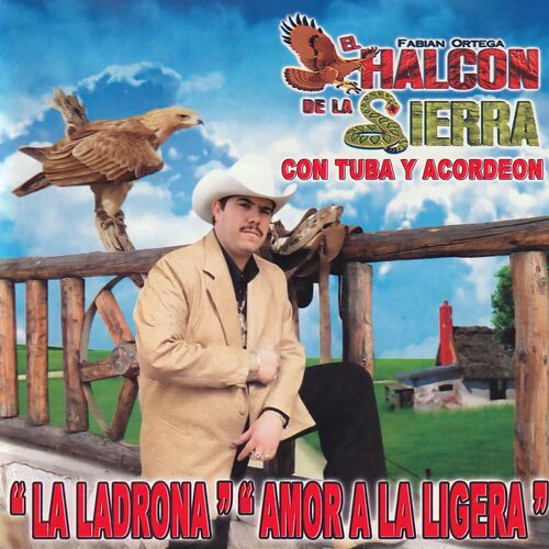 Con Tuba Y Acordeon (La Ladrona / Amor A La Ligera)