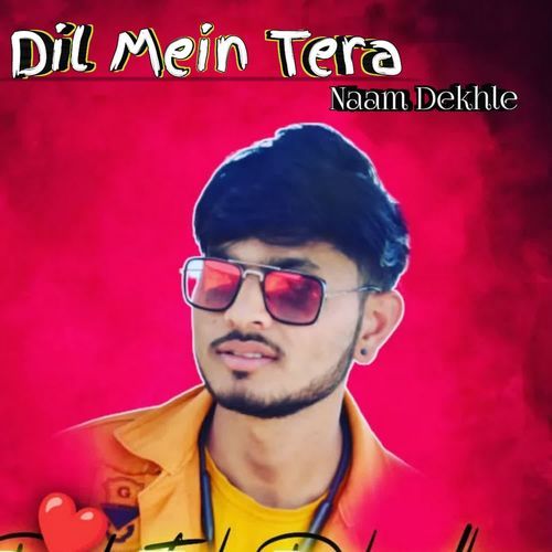 Dil Mein Tera Naam Dekhle