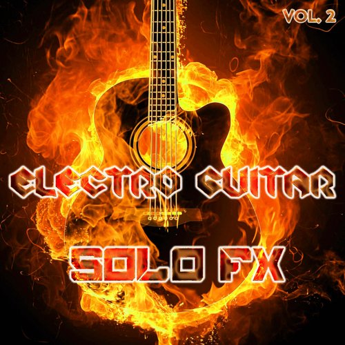Lynnerd Skynerd Fly Bird Free FX (Electro Guitar Remix) cover art
