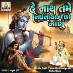He Nath Tame Nirdhaniya Nu Chho Nanu