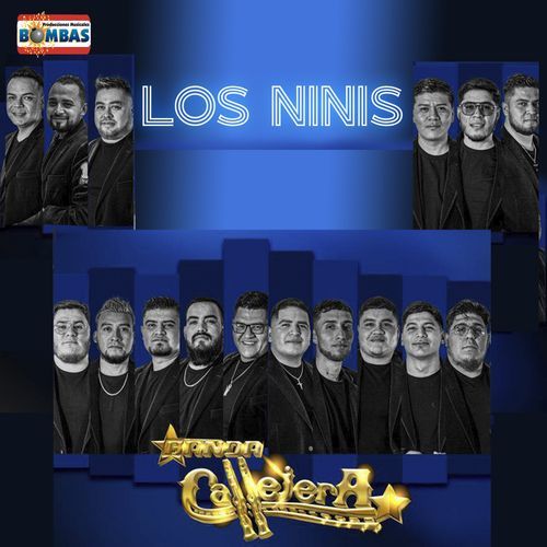 Los Ninis