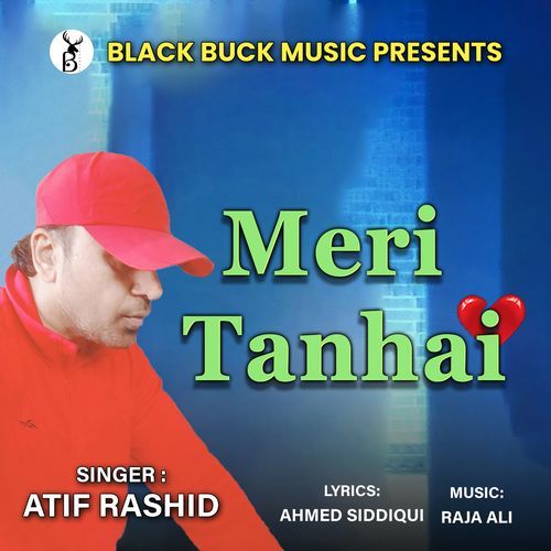 Meri Tanhai