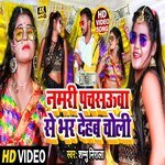 Namari Pansuwa Se Bhar Dehab Choli (Bhojpuri Song)