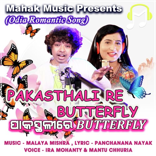 Pakasthali Re Butterfly