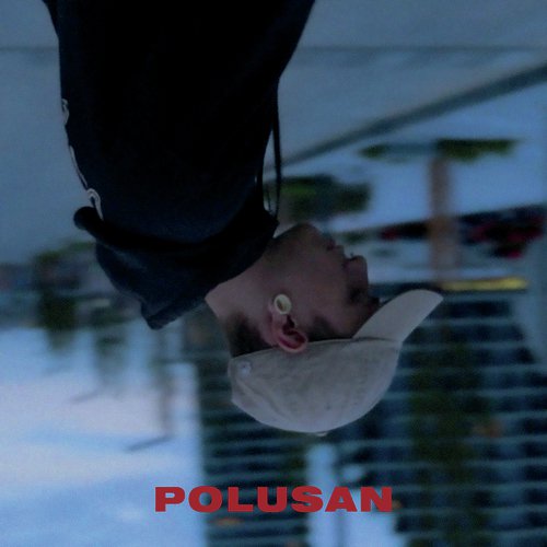 Polusan_poster_image