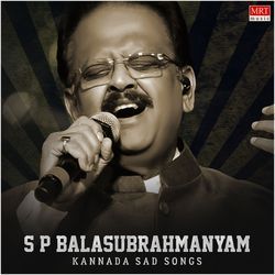 Birugali Beesidaga (From "Bidisadha Bandha")