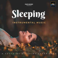 Sleeping Instrumental Music-IC45QTF3WX4