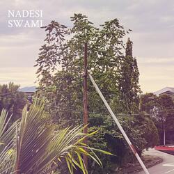 Goswami by Nadesi