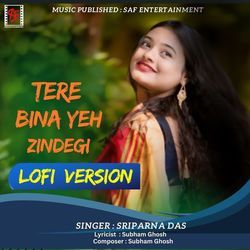 Tere Bina Yeh Zindegi Lofi Version-Ci45Qx0Bdl8