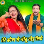 Tere Kon Se Nimbu Todd Liye