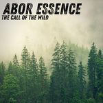 The Call Of The Wild