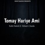 Tomay Hariye Ami