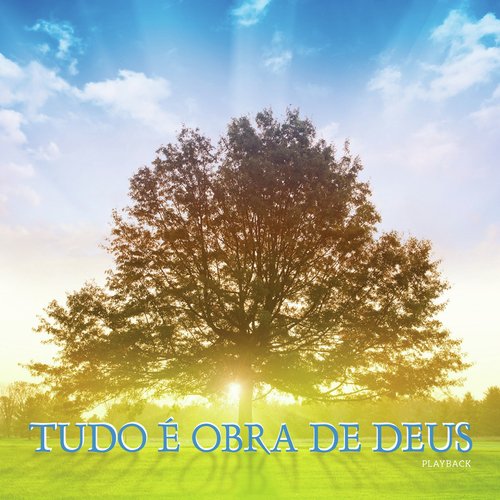 Tudo de Mim (Playback) cover art
