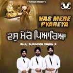 Vas Mere Pyareya