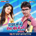 Yadav Ji Ke Bhaisa Khet Me Chari