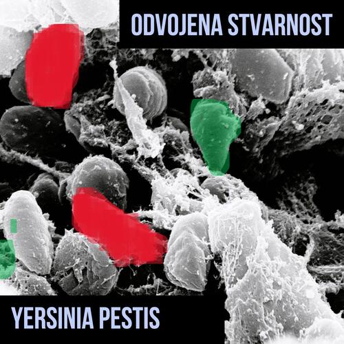 Život je San cover art