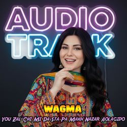 You Zal Chi Mi Da Sta Pa Makh Nazar Aolagido