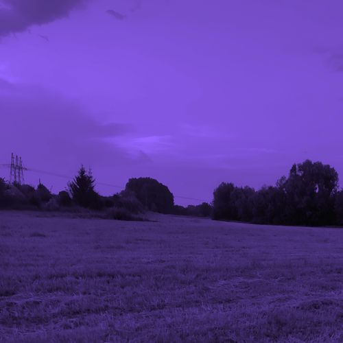 obsessions (Slowed + Reverb)