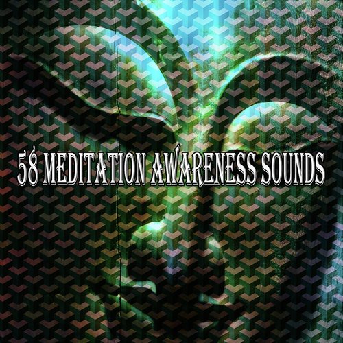 58 Meditation Awareness Sounds