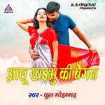 Aalu Khaibhu Ki Baigan