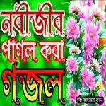 Ami Tumar Pagol Nobi