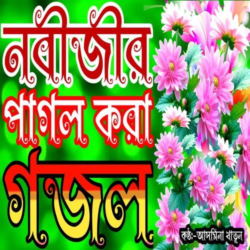 Ami Tumar Pagol Nobi