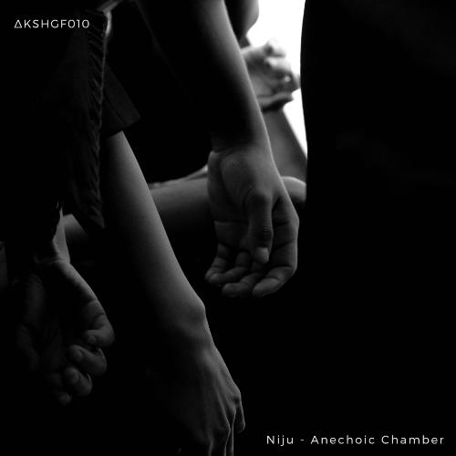 Anechoic Chamber cover art