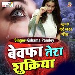 Bewafa Tera Shukriya (Hindi Sad Song)