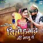 Chitodgadh Ki Janu Ye