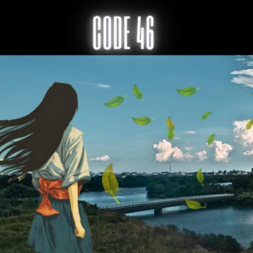 Code 46
