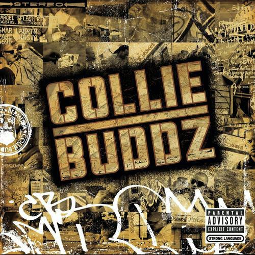 Collie Buddz_poster_image