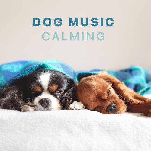 Dog Music - Calming Songs for Dogs and Puppies_poster_image