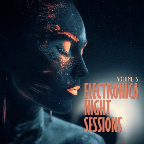 Electronica: Night Sessions, Vol. 5