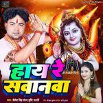 Hay Re Sawanva artwork