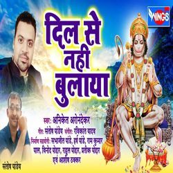 Humne Dil Se Nahi Bulaya