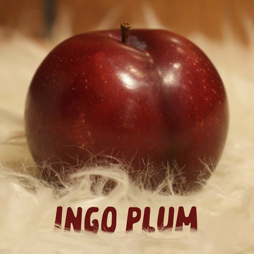 Ingo Plum