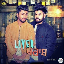 Liver Khrab-Gi84WgcBYVw