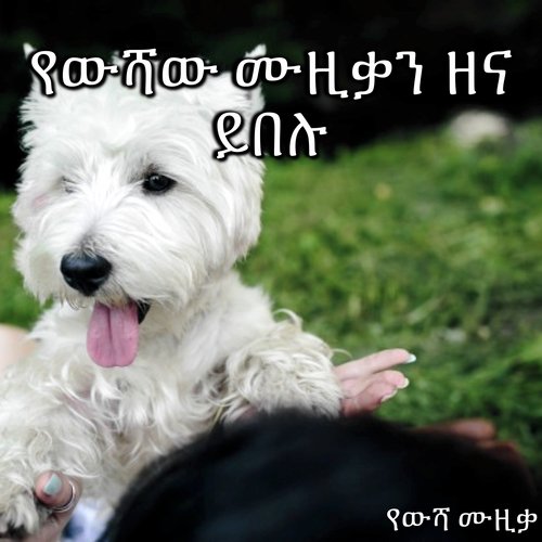 አዲስ አሻንጉሊት