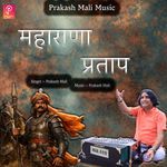 Maharana prtap artwork