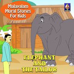 Elephant And The Tailor