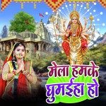 Mela Hamke Ghumaiha Ho